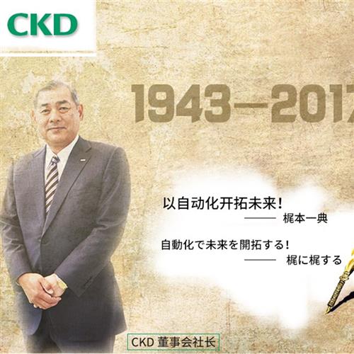 CKD电磁阀AB31-01/1/02/2/3/4/5/6-F2E/E2E/C2E-AC220V 24V