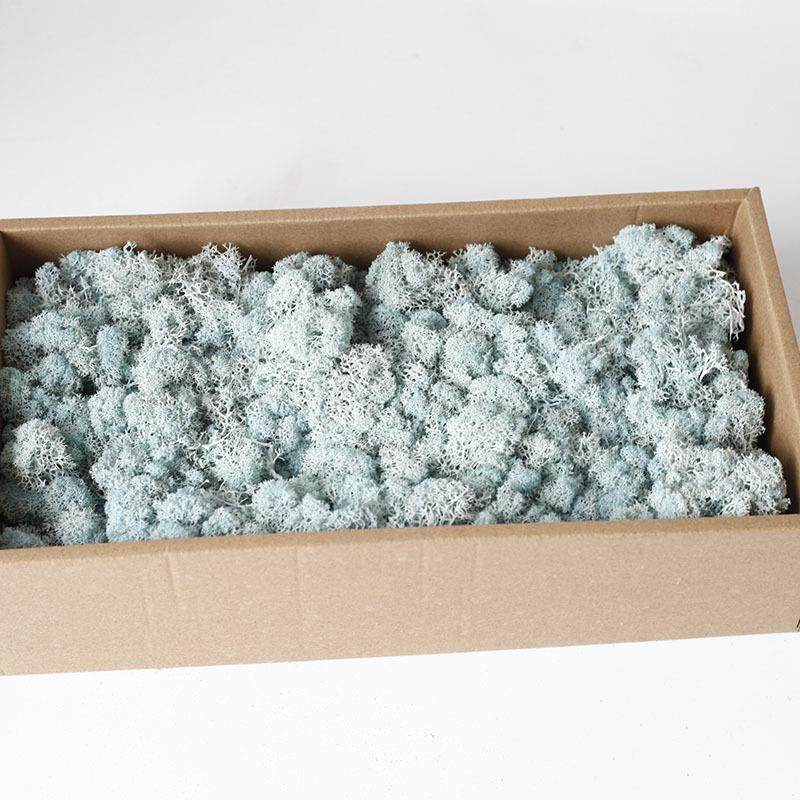 永生苔藓500克/盒永生花diy材料包香薰玻璃罩背景墙装饰工厂,家居饰品,餐桌花艺,淘宝优惠券,粉丝福利购,淘宝优惠卷