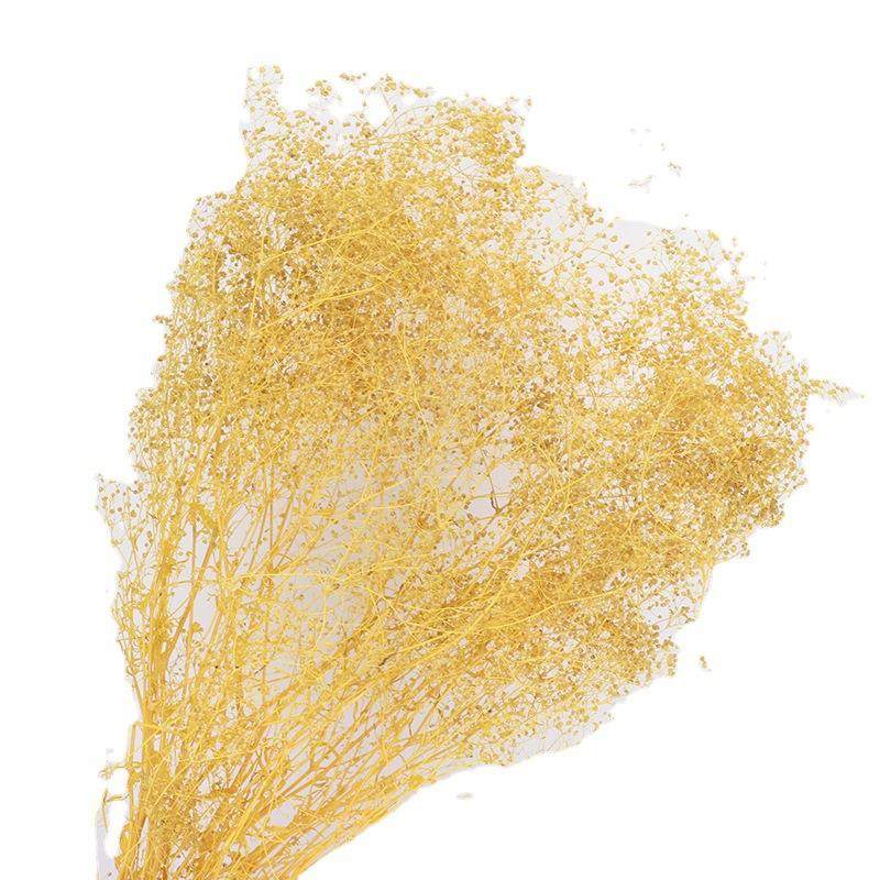 永生满天星彩色百万小满天星保鲜花干花花束DIY材料花材,家居饰品,餐桌花艺,淘宝优惠券,粉丝福利购,淘宝优惠卷