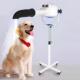 神宝宠物店泰迪静音猫咪狗狗美容专业负离子立式 大吹风机拉毛机
