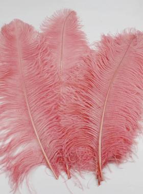 摆鸵鸟毛杆优CQY质60台-65cm白色粗婚庆舞装饰桌面件大鸵鸟羽毛