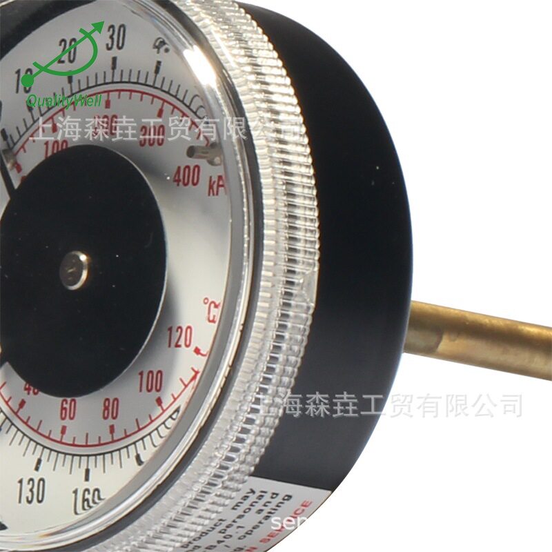 温度压力一体表抗磁场干扰能力强 轴向型可旋入式PC盖 WHT-1A