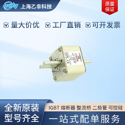 巴斯曼熔断器  170M5283 170M5284 170M5289 170M5308 170M5309