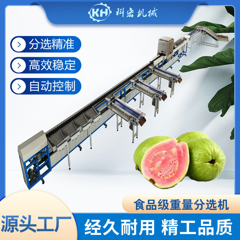 科宏水果直线分选机芭乐柠檬水果智能分选洋葱土豆蔬菜重量分拣