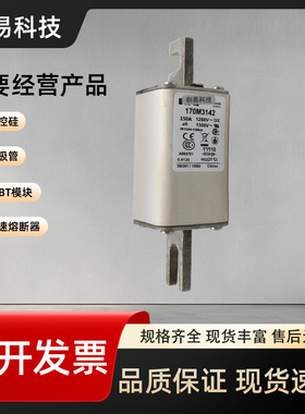 170M3108 170M3109 170M3110 170M3111 170M3112熔断器170M系列