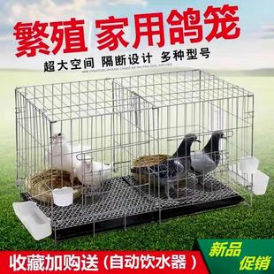 鴿子籠家用養殖籠鴿子配對籠大號鴿子籠家用帶隔斷繁殖養殖鴿籠清