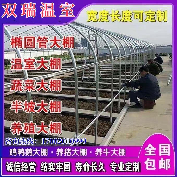 镀锌管大棚钢管骨架椭圆管种植多肉蔬菜养猪养羊大棚钢架温室养殖