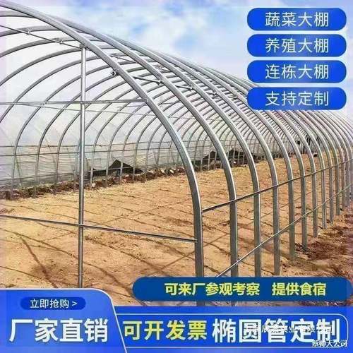 栋棚一整套大棚骨架全套冷暖种植温室拱棚养殖棚镀锌圆管连体钢架