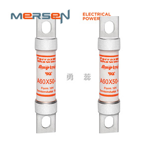 A60X55 A60X60 A60X50 保险丝熔断器