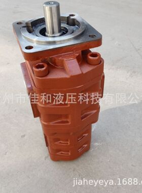 CBGJ2050/1010双联泵   徐工装载机双联齿轮泵803043369