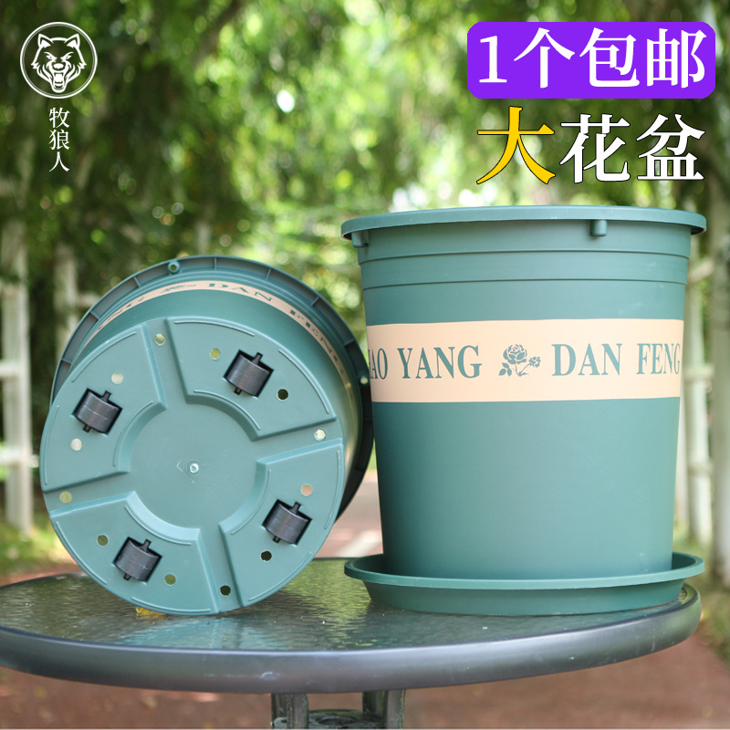 7加仑青山盆40CmM大花盆种果树藤本月季绣球大口径盆特大号塑料盆