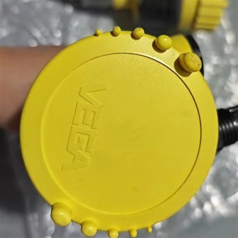 VEGA威格 VEGABAR-82 压力变送器,机械设备,其他机械设备,淘宝优惠券,粉丝福利购,淘宝优惠卷