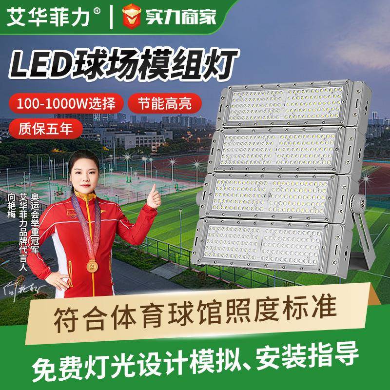跨境户外足球场灯大功率200W广场高杆投光灯户外LED模组球场灯