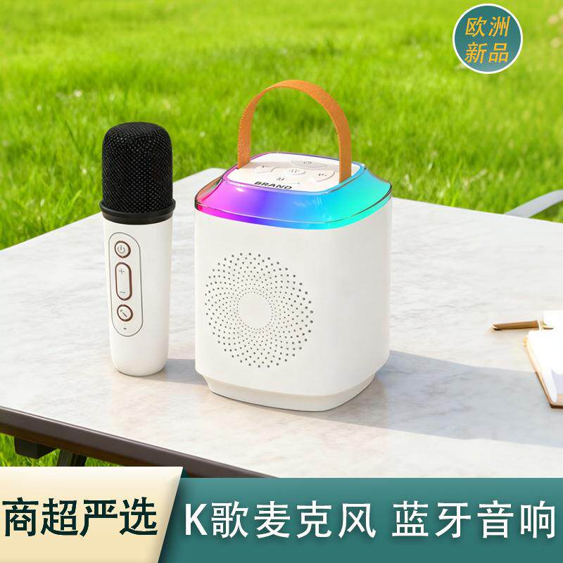 出口商超无线麦克风话筒音箱一体儿童便携户外K歌蓝牙音响HF530