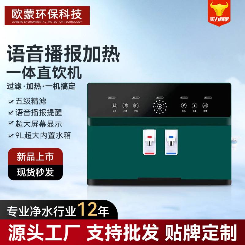 家用净水器自来水过滤直饮加热一体纯净水机壁挂式RO反渗透过滤器