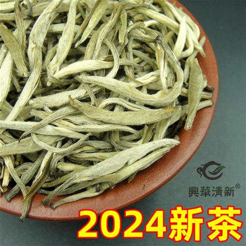 2024新茶特级茉莉花茶叶浓香茉莉针王云南白毫银针王500克礼盒装