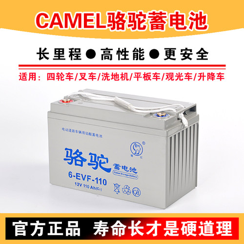【官方推荐】电动四轮车EVF电瓶