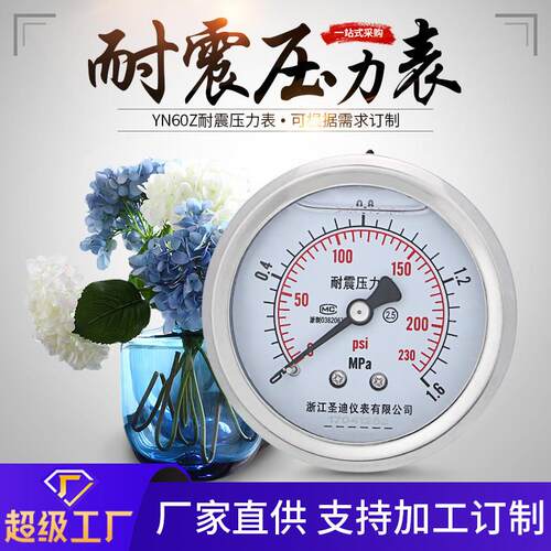适配YN60Z  不锈钢油压水压气压液压通用2分 M14*1.5轴向耐震压力