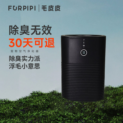 空气净化器异味处理除臭吸浮毛