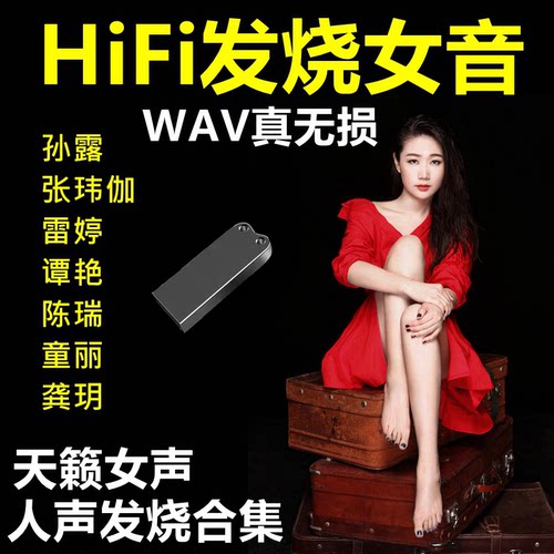 发烧人声车载U盘--真无损音质！