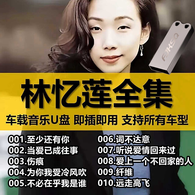 车载U盘林忆莲歌曲全集