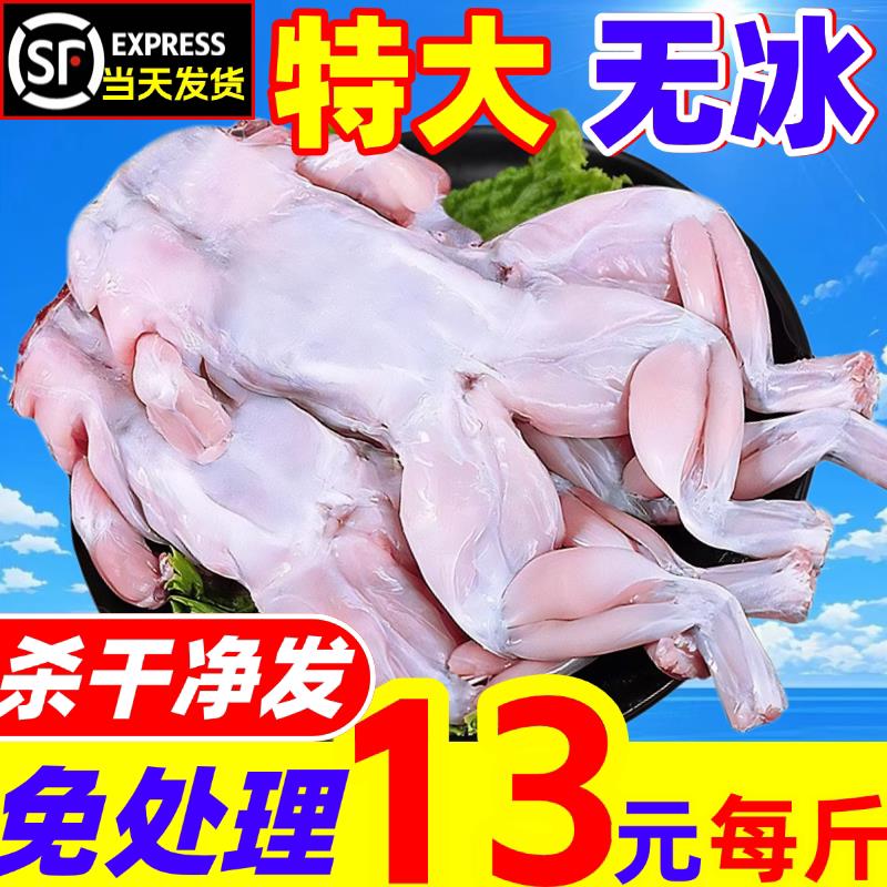 牛蛙超大特大田鸡新鲜鲜活速冻蛙肉蛤蟆青蛙杀好蛙块商用火锅食材