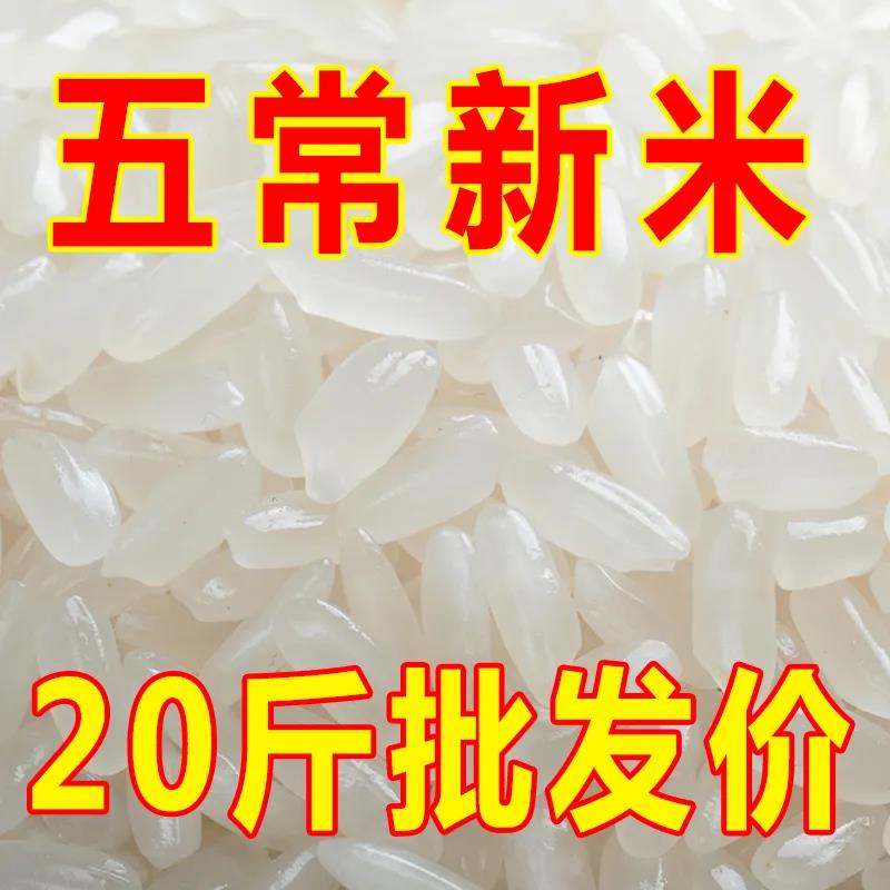 【新米】正宗五常稻香米20斤长粒香米10斤5斤农家新米产地直发