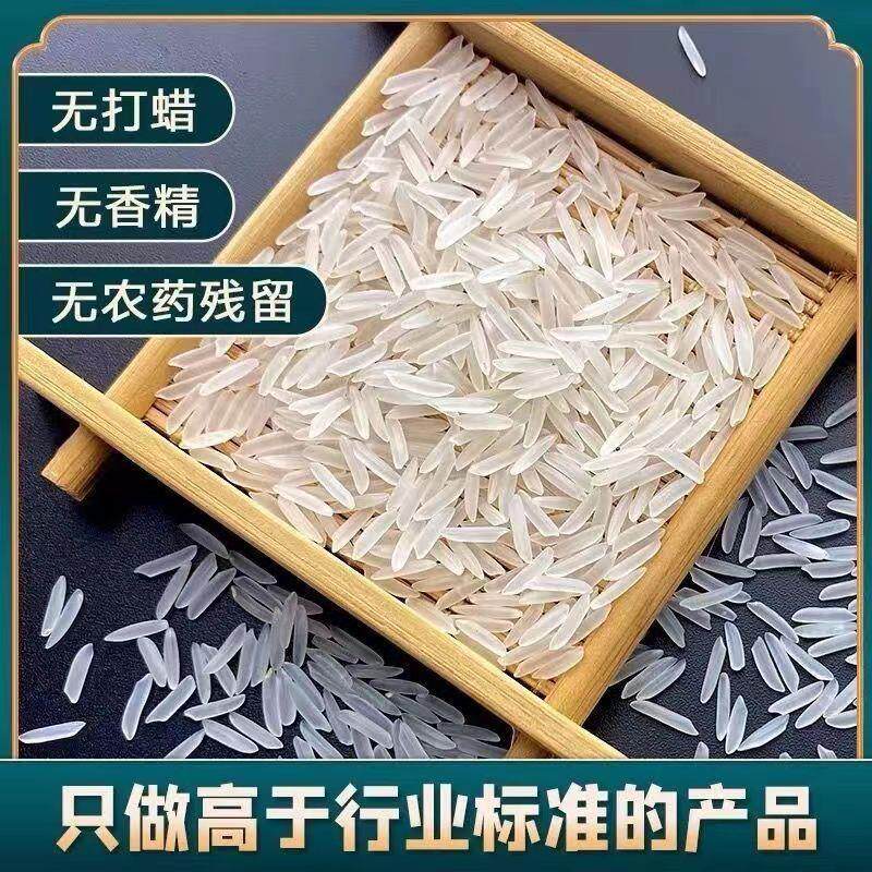 长粒香米20斤丝苗米煲仔饭大米籼米10斤特级大米特一级猫牙米