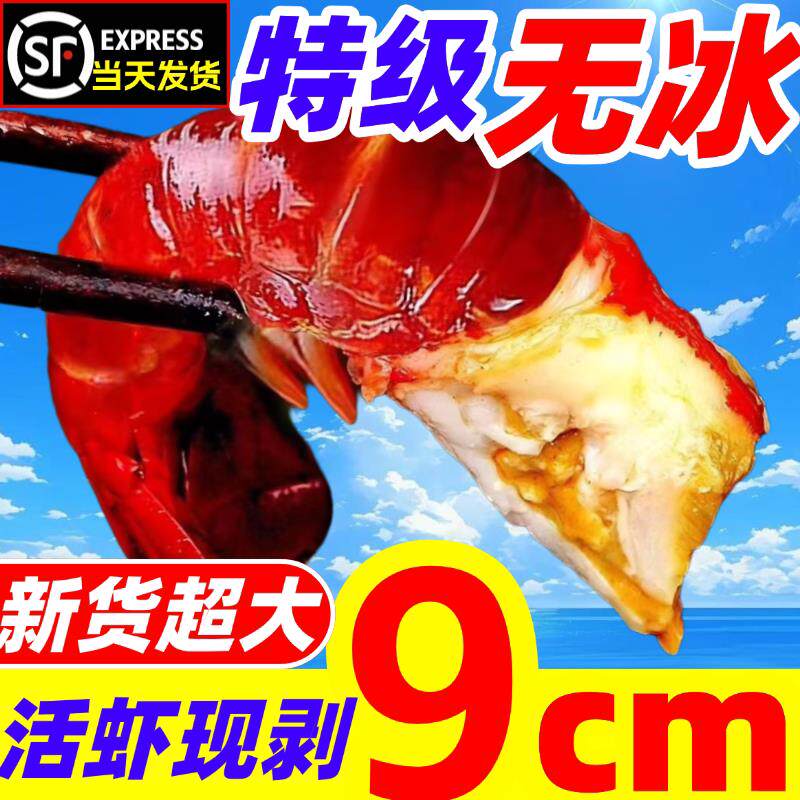 龙虾尾鲜活冷冻小龙虾无冰衣特级超大虾尾虾球鲜冻商用整箱