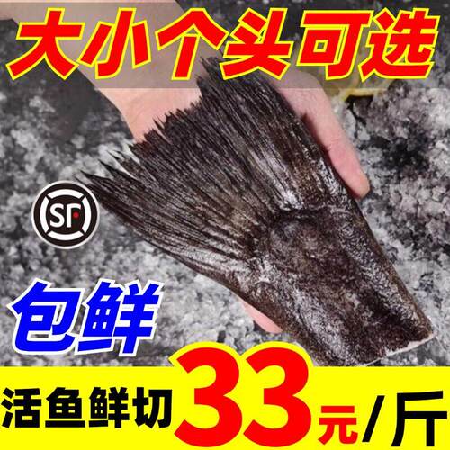 鸦片鱼尾蝶鱼尾雅片鱼尾牙片鲽鱼尾鳕鱼尾深海鱼尾巴烧烤海鲜水产