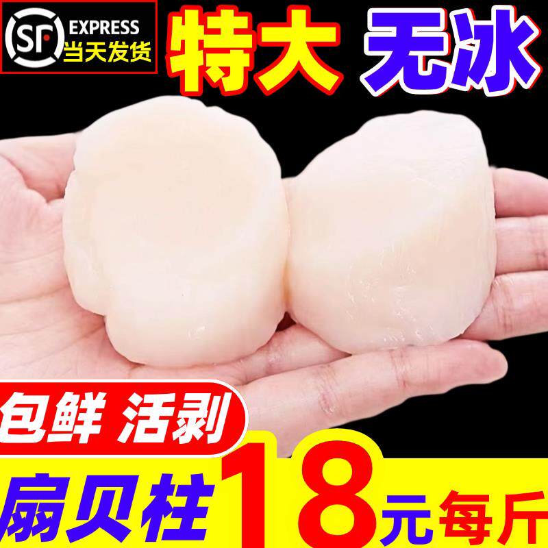 新鲜扇贝柱瑶柱鲜贝柱鲜活现剥冷冻元贝丁江瑶带子肉海鲜贝类水产