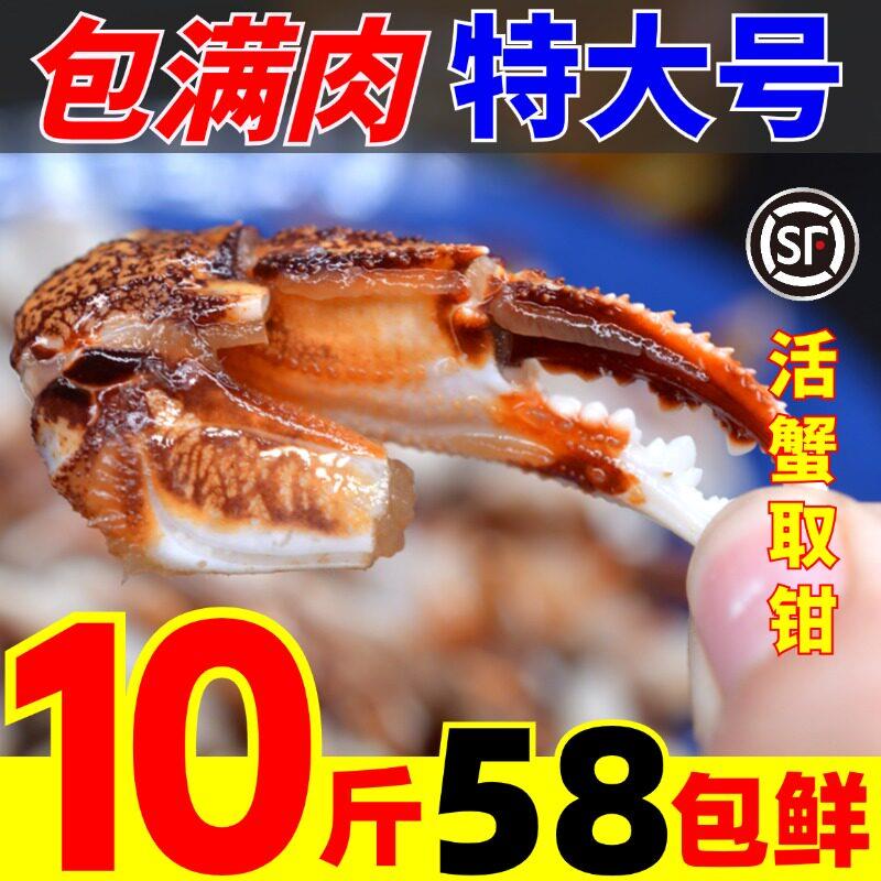 蟹钳生鲜冷冻商用蟹脚钳醉蟹钳蟹脚生蟹钳捞汁小海鲜大沙蟹钳
