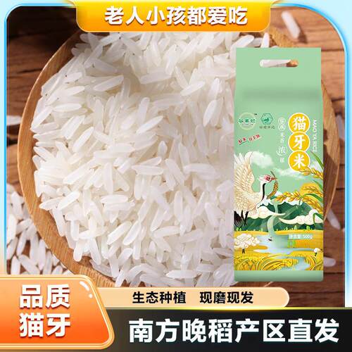 绿宝贡谷丰领猫牙香米1斤新米煮饭软糯长粒香500g南方优质大米