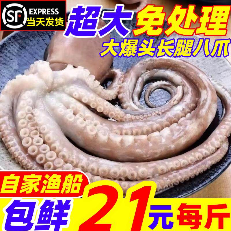 长腿八爪鱼超大新鲜冷冻整条大章鱼商用网红爆头火锅食材海鲜水产