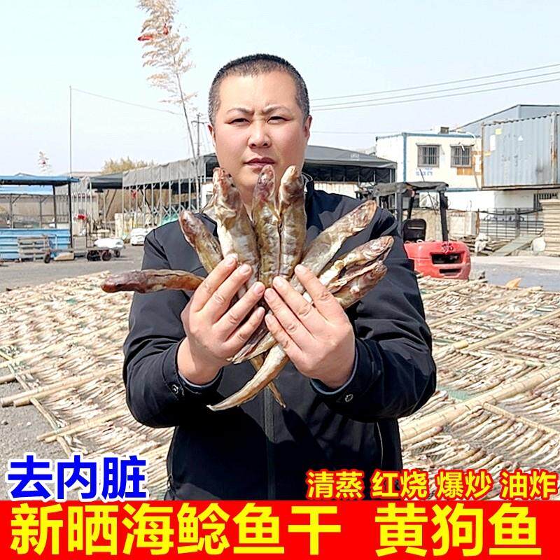 淡干胖头鱼干500克海鲶鱼干黄狗鱼小鱼干海鲜干货日照特产