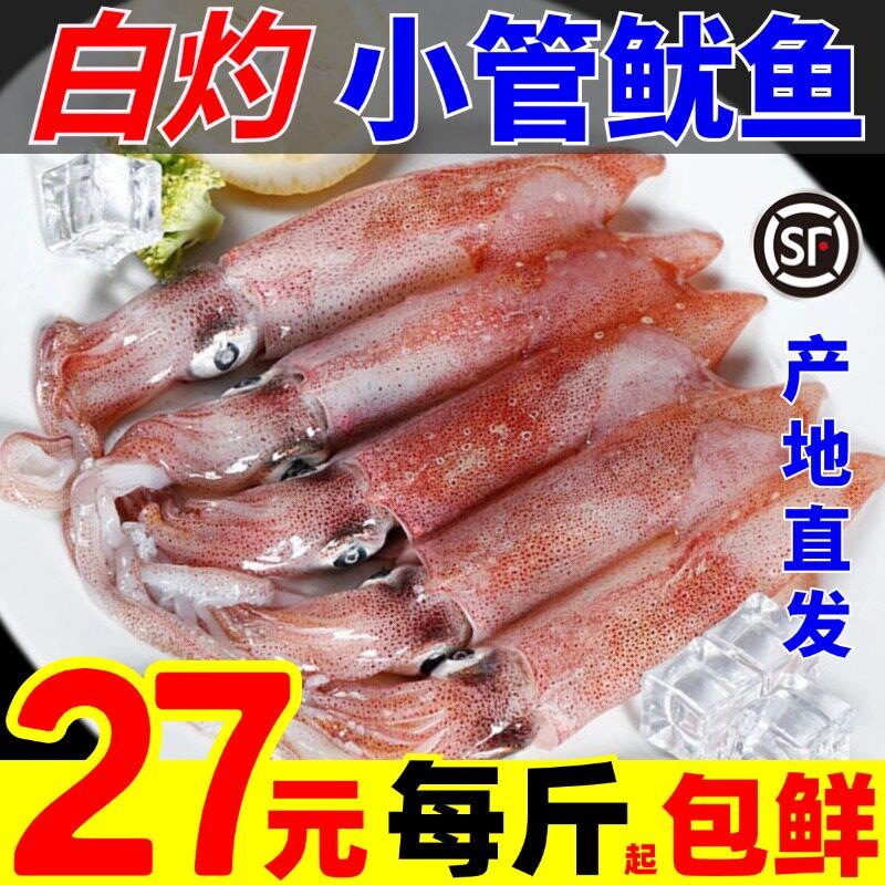 小管鱿鱼白灼鱿鱼生鲜新鲜大鱿鱼大管笔管小乌贼舟山海鲜水产鲜活