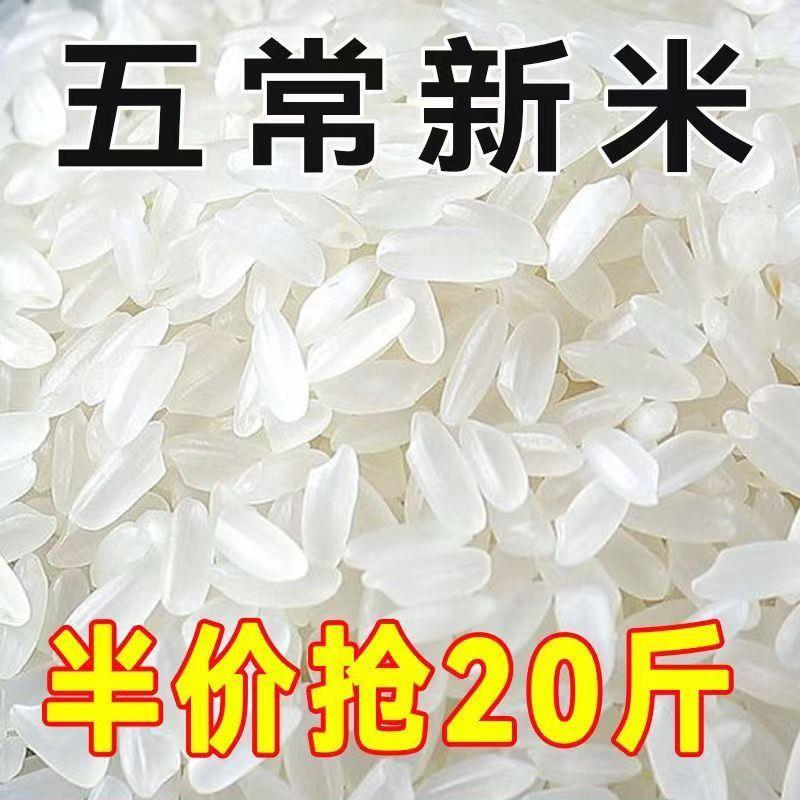 正宗五常稻香米2024年新米五常大米10斤20斤特级东北大米好吃不贵