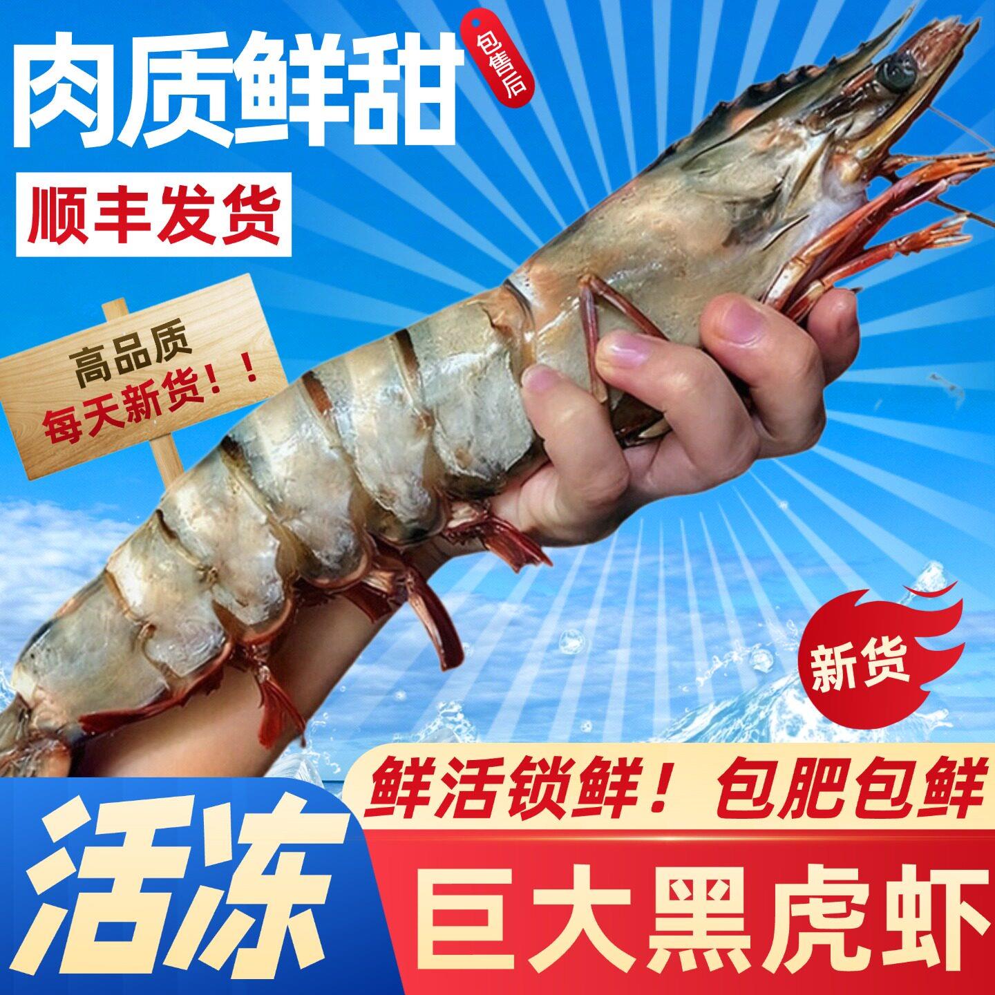 黑虎虾鲜活超大特大鲜活冷冻优海园官方旗舰店海鲜水产大虾大海虾