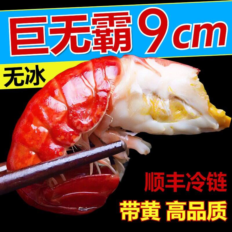 龙虾尾鲜活鲜冻特级无冰衣特大号小龙虾冷冻生鲜虾球商用超大10斤