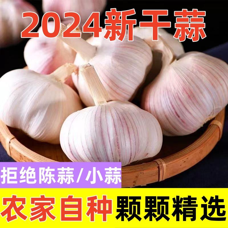 【超低价抢购】杞县2024干蒜大蒜头紫白皮大蒜头特大1-9斤大蒜种
