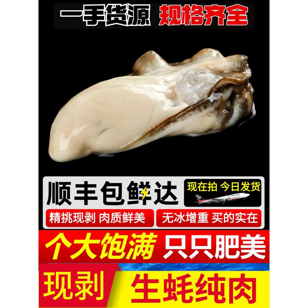 生蚝肉鲜活生蚝现剥新鲜牡蛎肉蛎蝗商用食材去壳纯蚝仔肉海鲜水产