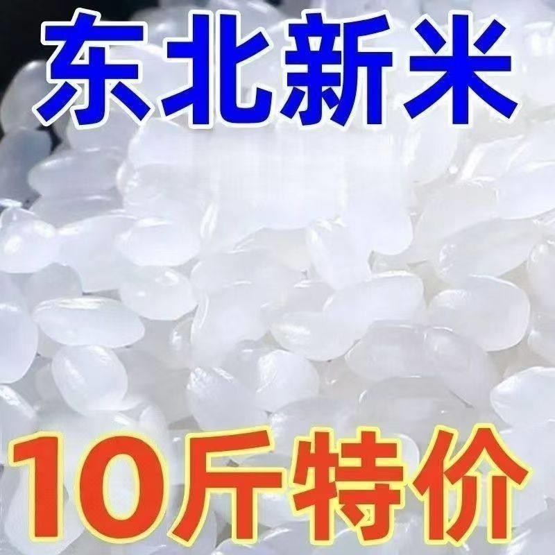 东北大米5kg黑龙江圆粒大米珍珠米10斤装2025年新米粳米秋田小町