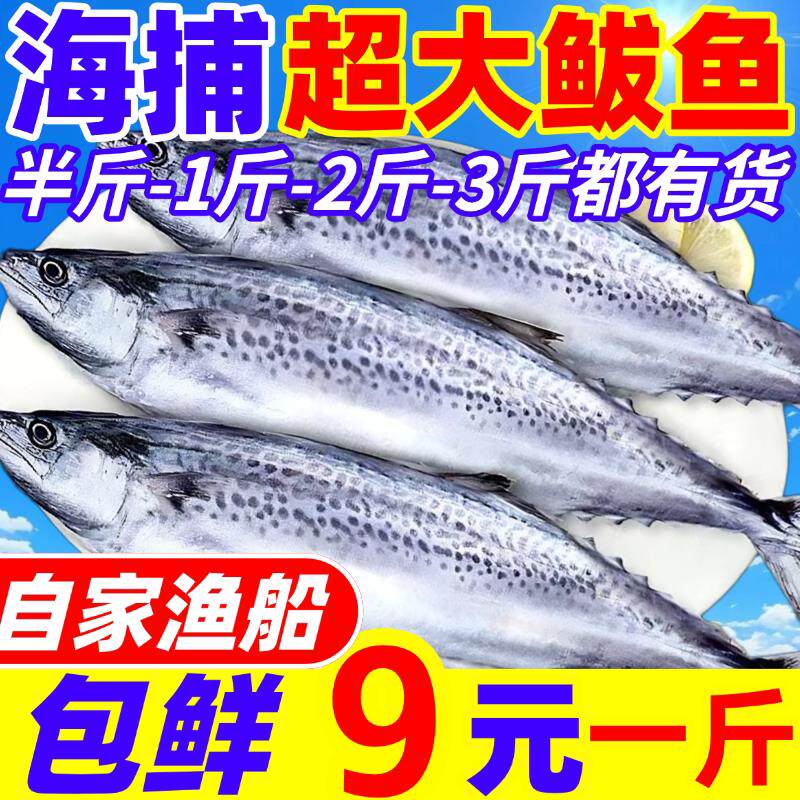 新鲜马鲛鱼超大鲅鱼鲜活冷冻整条马交鱼鲐鲅鱼青花鱼海鲜深海鱼