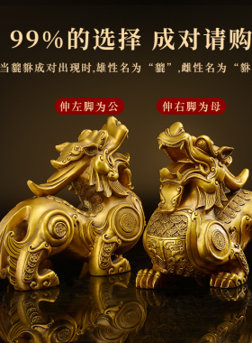 铜貔貅摆b件纯铜一对独角家居客厅黄铜装饰品店铺乔迁开业礼品大