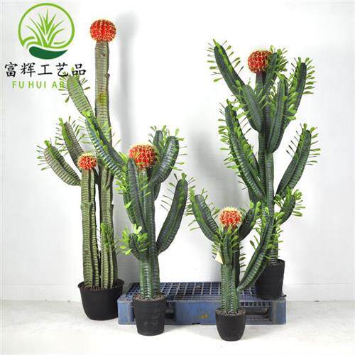 仿真仙人掌仙人棒仙人柱花盆栽假花套装组合家居装饰道具摆件