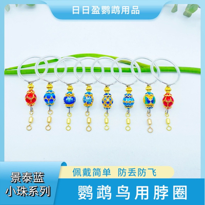 鹦鹉不锈钢脖套训练脖圈遛鸟放飞绳脚链玄凤牡丹小太栓鸟链子绳