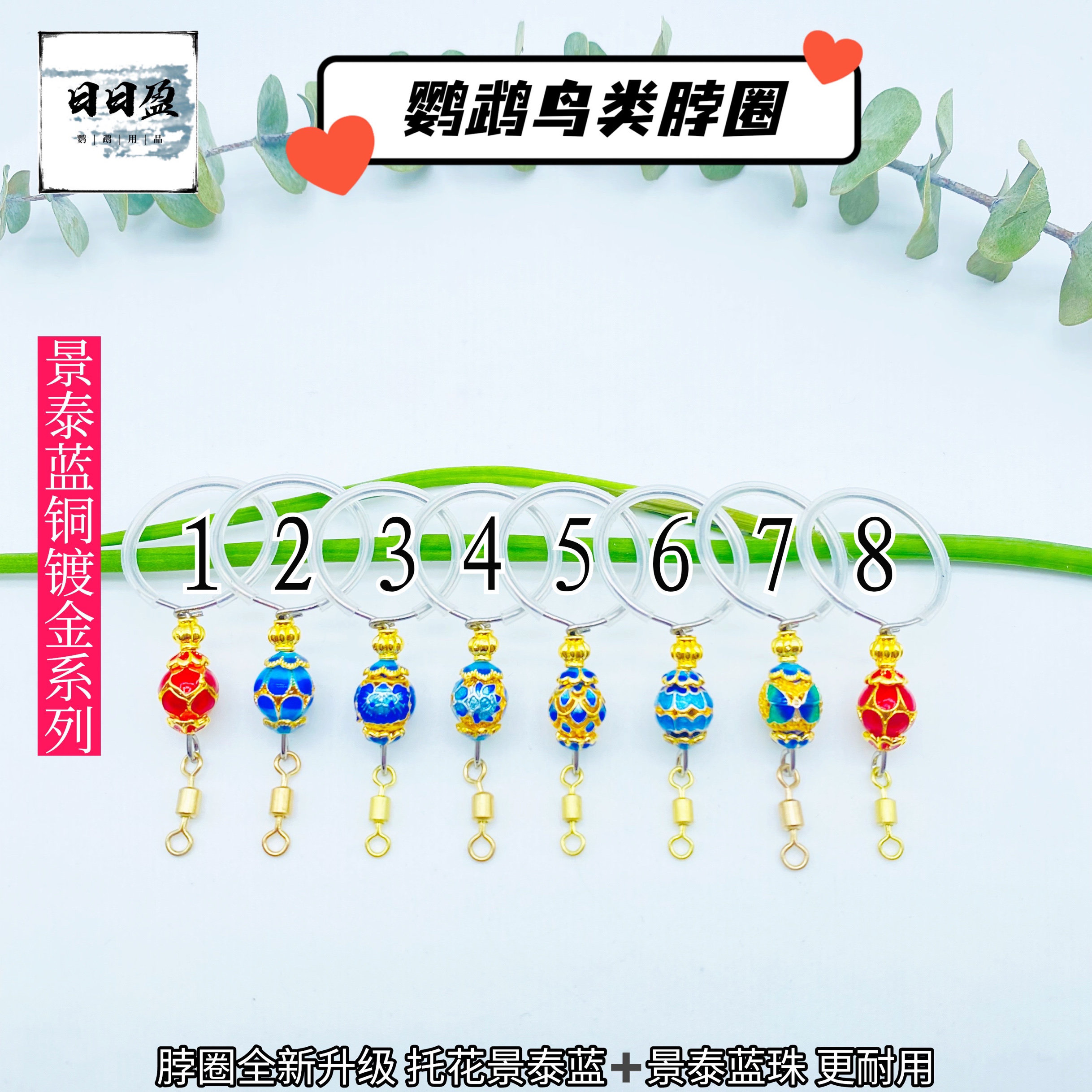 鹦鹉不锈钢脖套训练脖圈遛鸟放飞绳脚链玄凤牡丹小太栓鸟链子绳,宠物/宠物食品及用品,鸟禽其他,淘宝优惠券,粉丝福利购,淘宝优惠卷