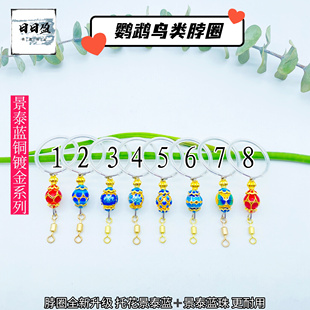 鹦鹉不锈钢脖套训练脖圈遛鸟放飞绳脚链玄凤牡丹小太栓鸟链子绳