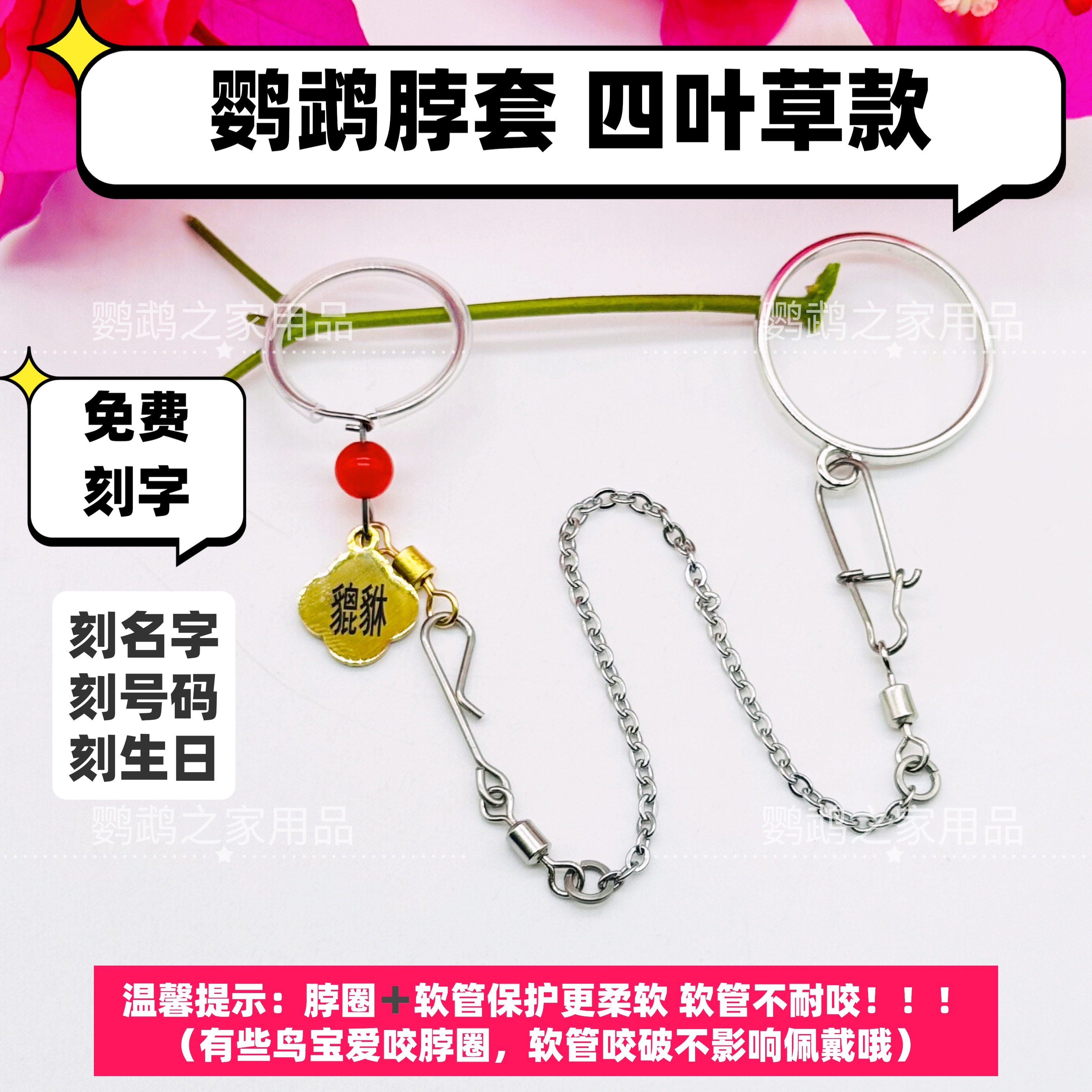 免费刻字和尚凯克鹦鹉脖圈玄凤小太阳金太阳脖套栓鸟放飞脖圈定制