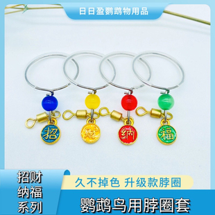 鹦鹉不锈钢脖套训练脖圈遛鸟放飞八哥脚链玄凤牡丹栓鸟链子绳子